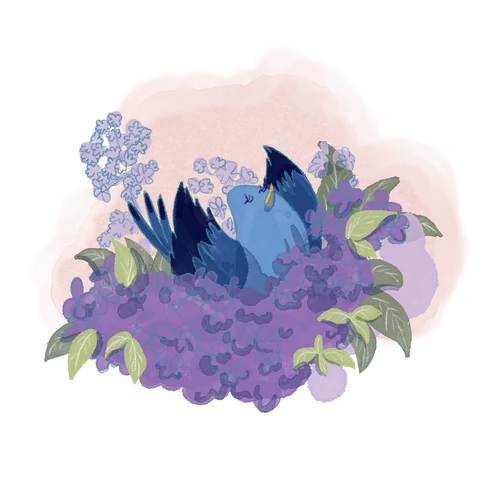 Blue nestled asleep in a bed of purple flowers